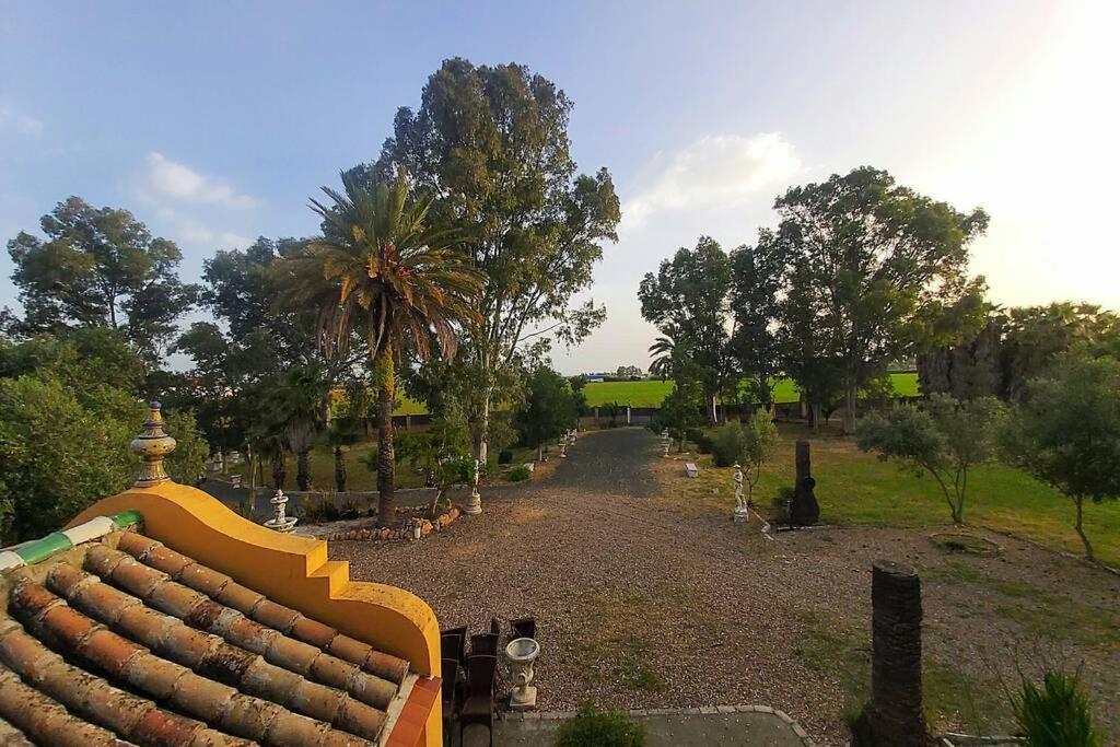Cortijo San Jose Villa Sevilla Eksteriør bilde